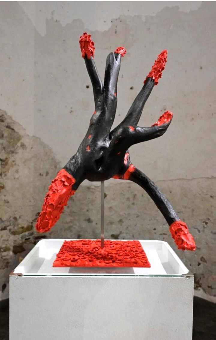 Corallo