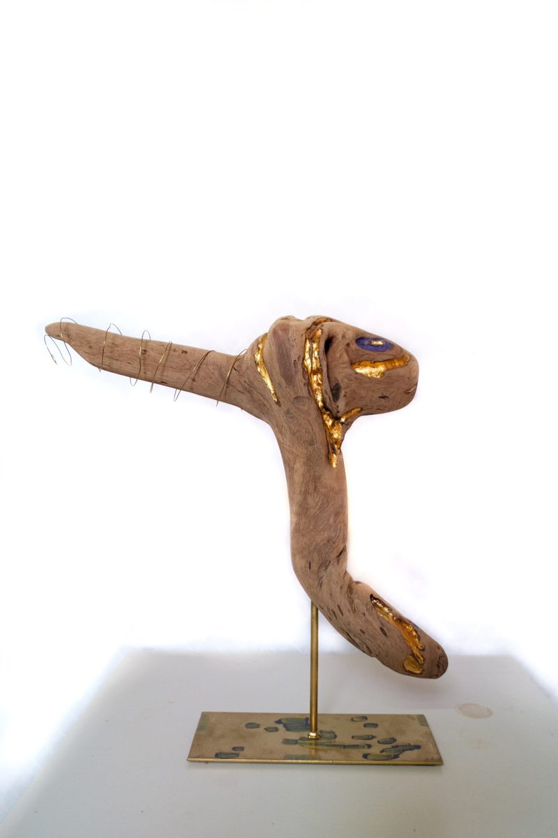 Ricciolo